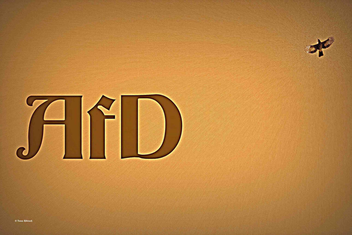 Braune AfD? © Tom Rübenach