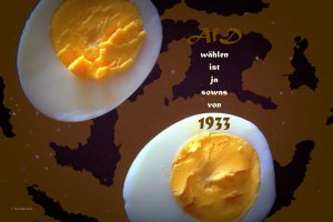 AfD wählen nur Braune. Punkt. © Tom Rübenach.