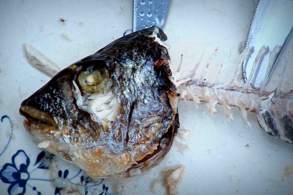 Auch der linke Fisch stinkt vom Kopf © Tom Rübenach