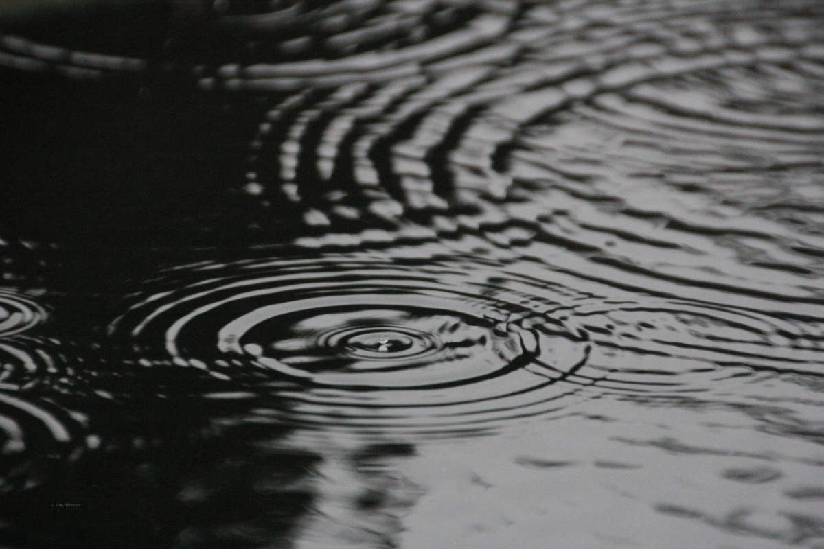 AfD als Terrorpaten entlarven © Tom Rübenach