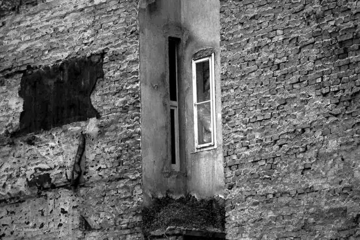 Mauerbauer Trump - Gehilfen Petry, Steinbach, Seehofer © Tom Rübenach