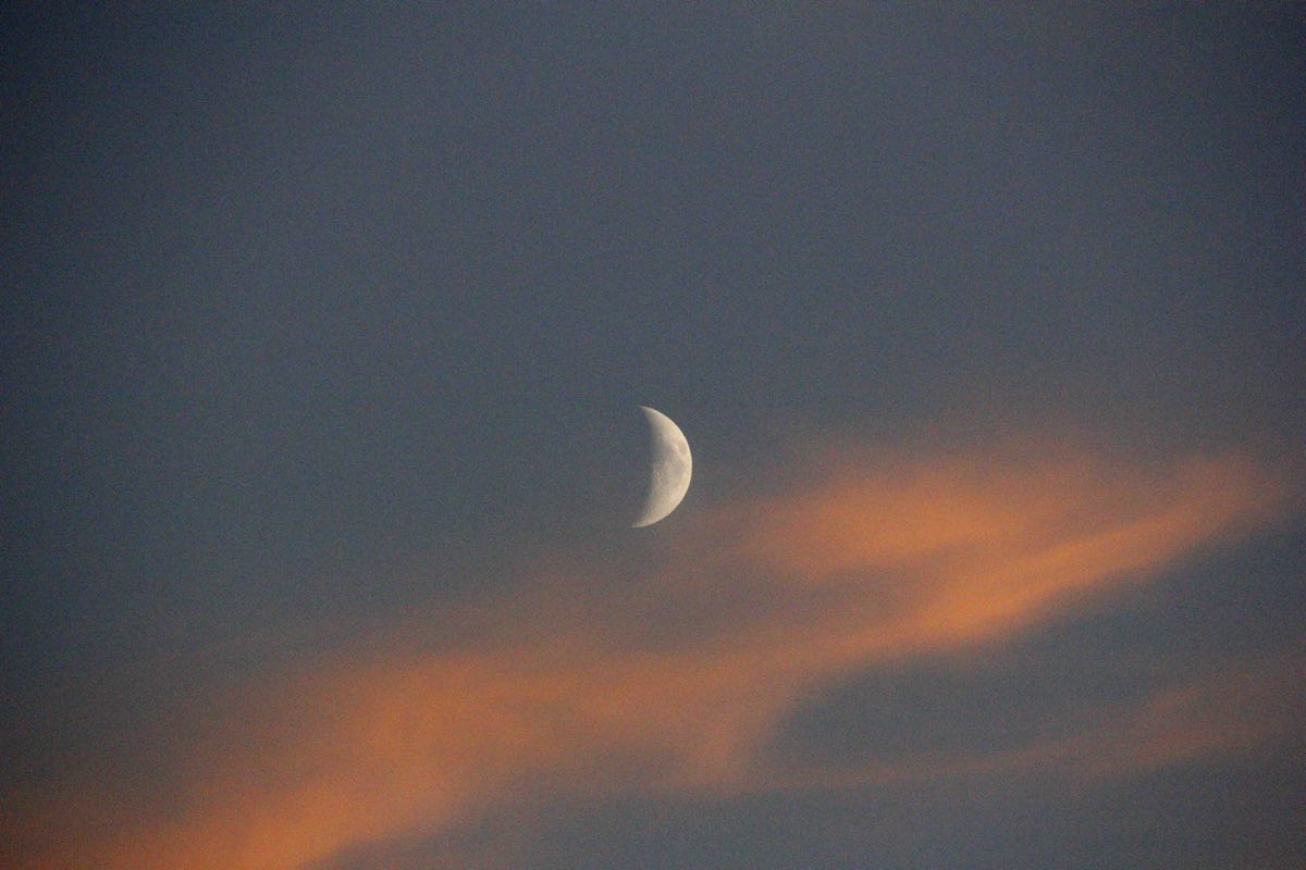 Rechtsextremismus und die AfD © Tom Rübenach