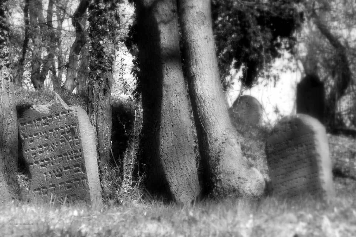 Der 27. Januar mahnt täglich © Tom Rübenach