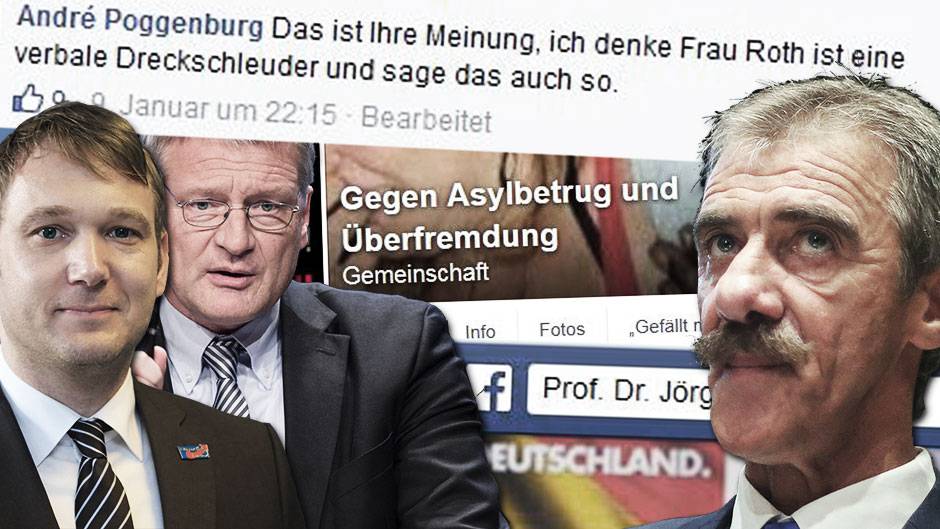 AfD-Mann Poggenburg bezeichnet Claudia Roth von den Grünen als "verbale Drecksschleuder". Quelle: Facebook