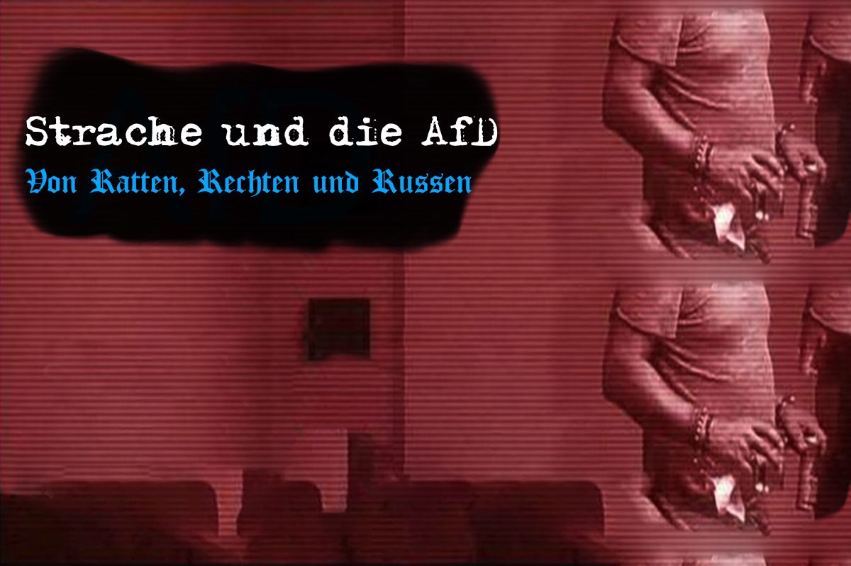 Artikelbild, in rötlichem Braun gehalten. Darauf der Text: "Strache und die AfD": Von Ratten. Rechten und Russen."