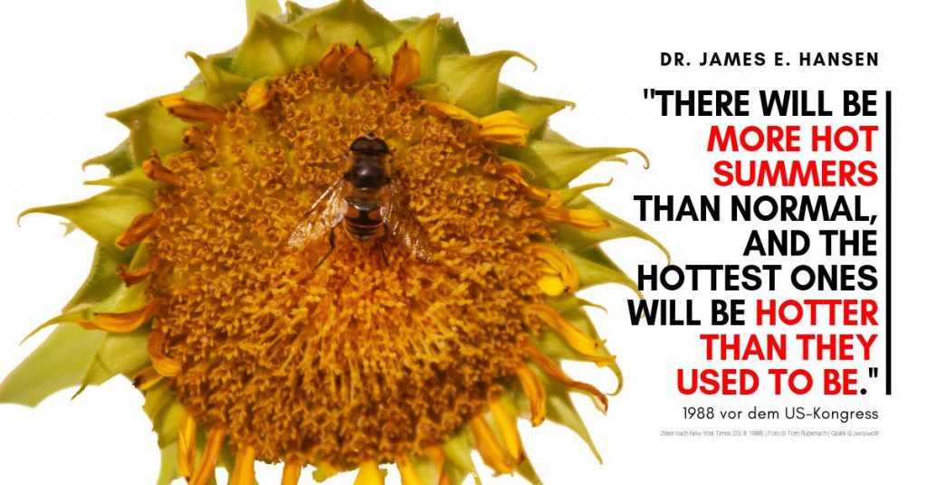 James Hansen erklärt vor dem US-Kongress erstmals den Klimawandel (1988) | Photo © Tom Rübenach Grafik © zwozwo8